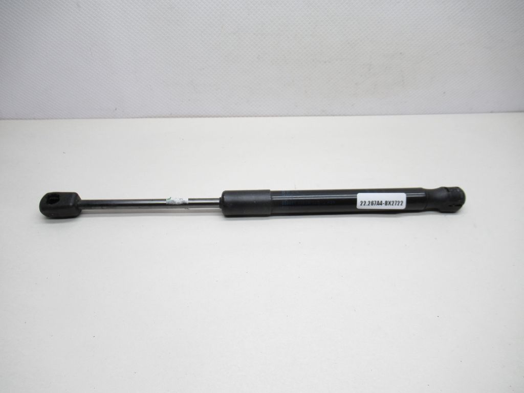 2006 - 2010  BMW 550i Lift Support Strut 8596880355N OEM