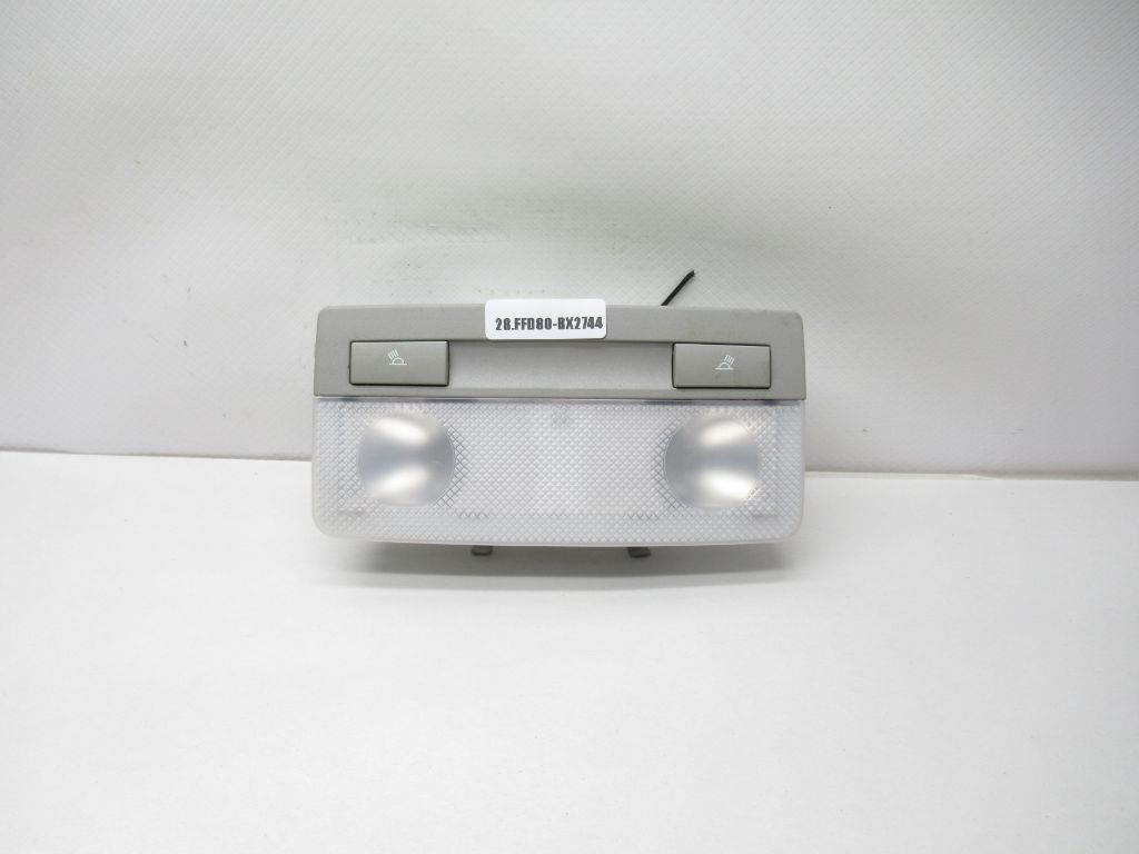 2016-2023 Chevrolet Equinox Rear Roof Overhead Dome Light 316627975 OEM