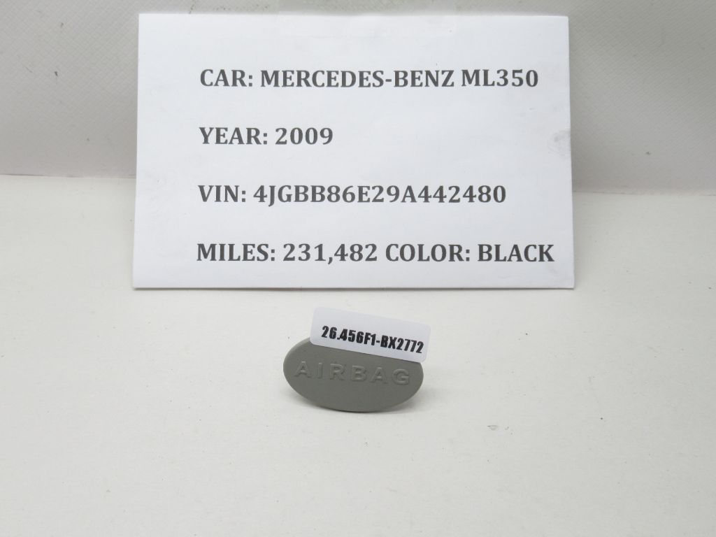 2006-2011 Mercedes-Benz Safety Cap Trim A1646920122 OEM