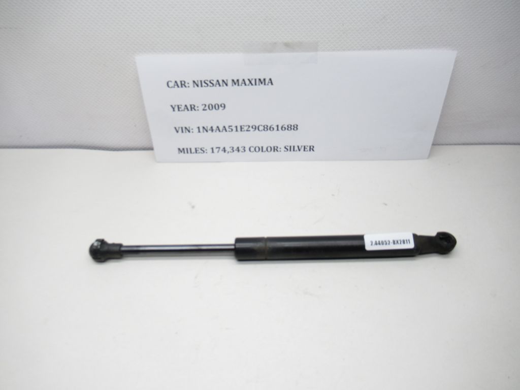 2009-2014 Nissan Maxima Trunk Lift Strut Shock 84430-9N00A OEM