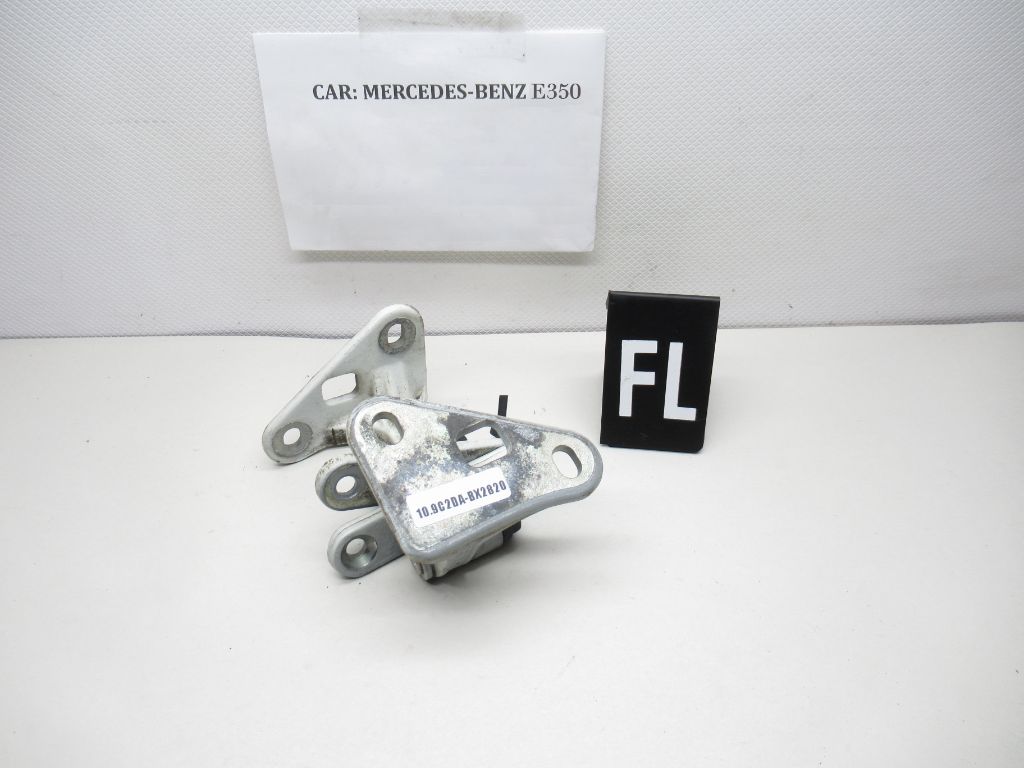 2007-2009 Mercedes E-Class Front Left Driver Side Door Hinge Set OEM