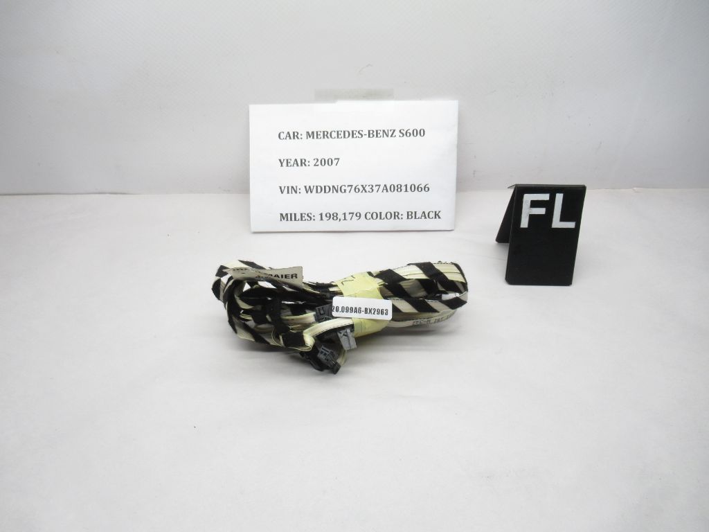 2007-2013 Mercedes-Benz S600 Front Left Door Wiring Harness 2215408507 OEM