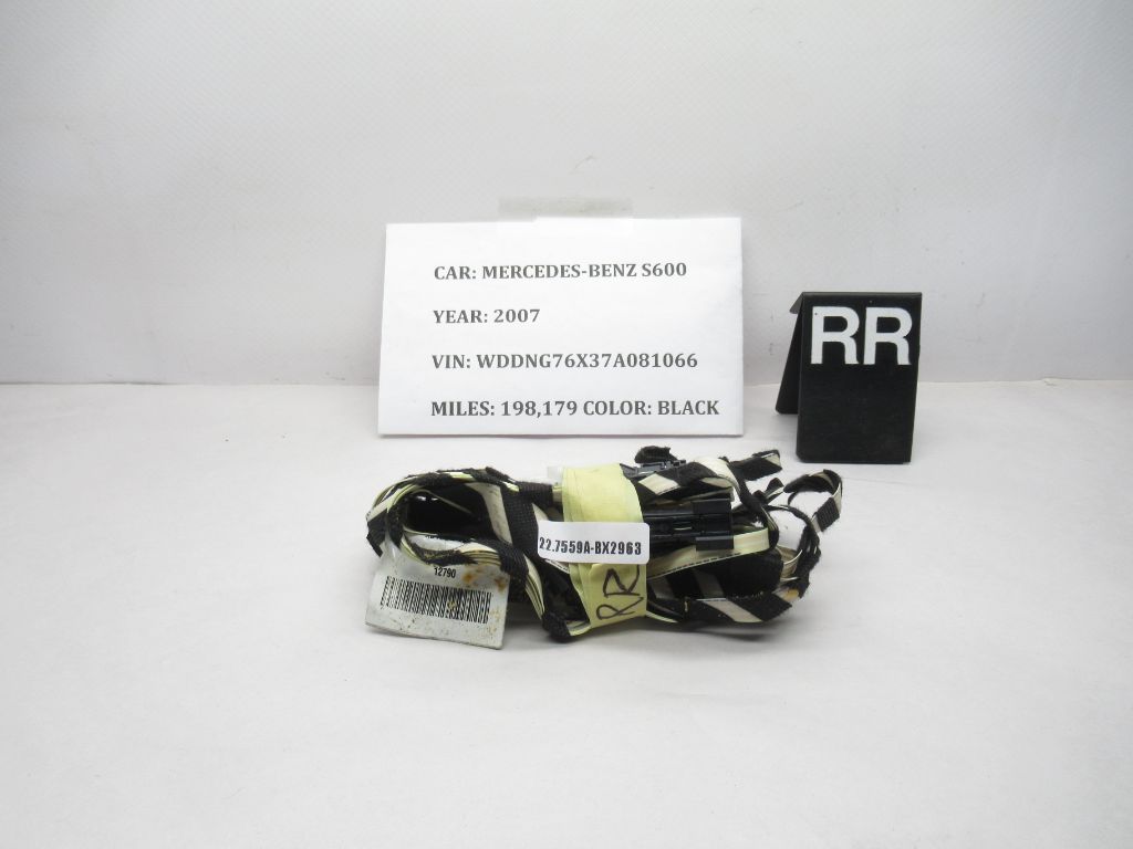 2007-2013 Mercedes S600 Door Wire Wiring Harness Rear Right 2215408707 OEM