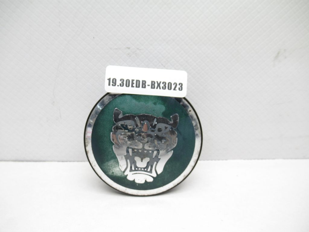 Jaguar Green Wheel Center Cap OEM