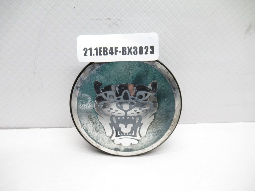 2004-2008 Jaguar S-Type X-Type Wheel Center Cap Green & Chrome OEM