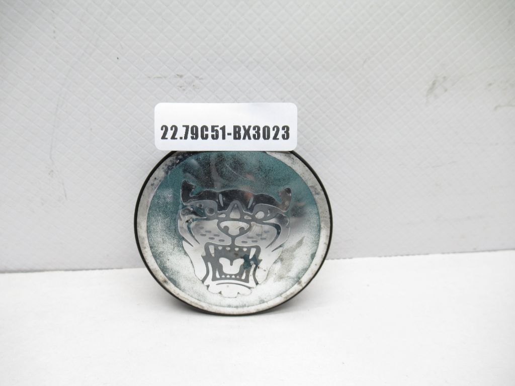 2004-2008 Jaguar S-Type X-Type Wheel Center Cap Green & Chrome OEM