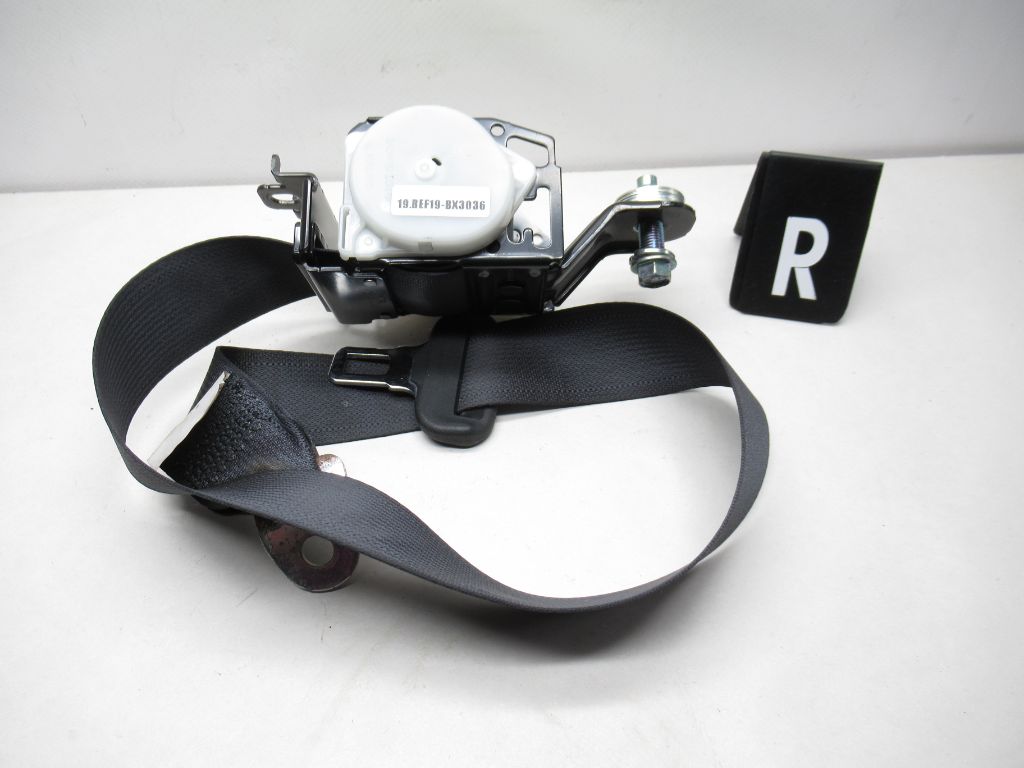 2005-2008 Acura RL Rear Middle Center Seat Belt and Buckle TK-AF0-J1159 OEM