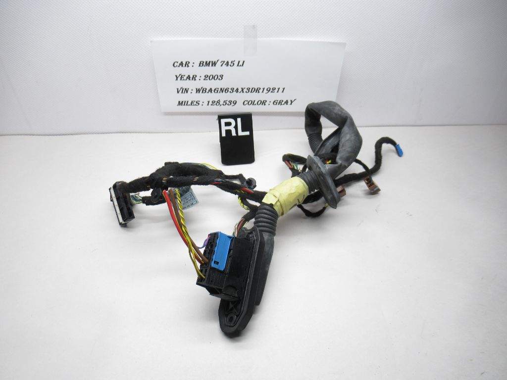 2002-2003 BMW 745 LI Rear Left Driver Side Door Wire Harness 6918765 OEM