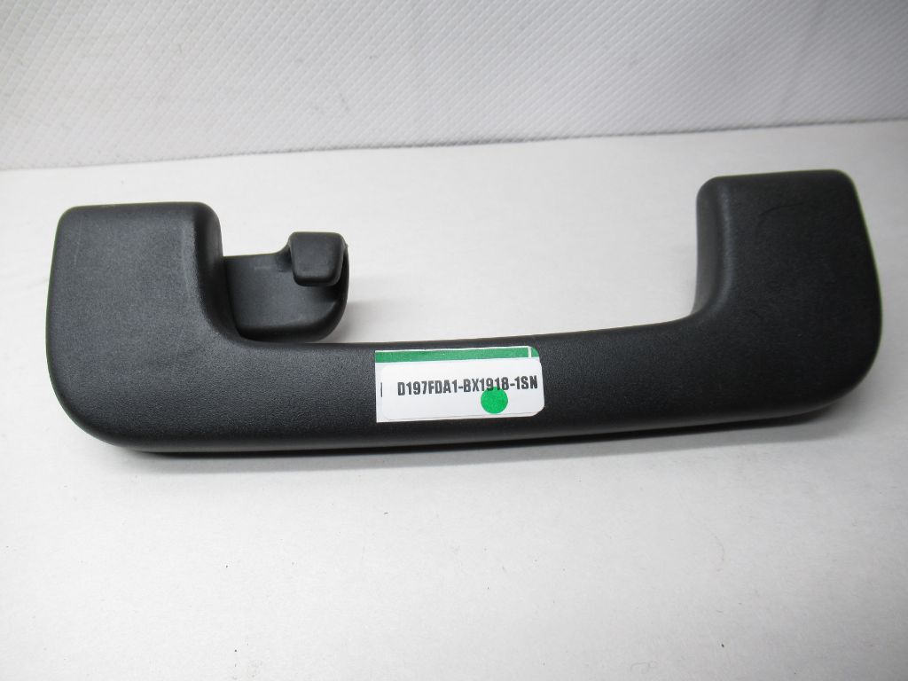 05-11 Audi A4 A6 Rear Left Upper Headliner Grab Handle Black 8P0857607 OEM