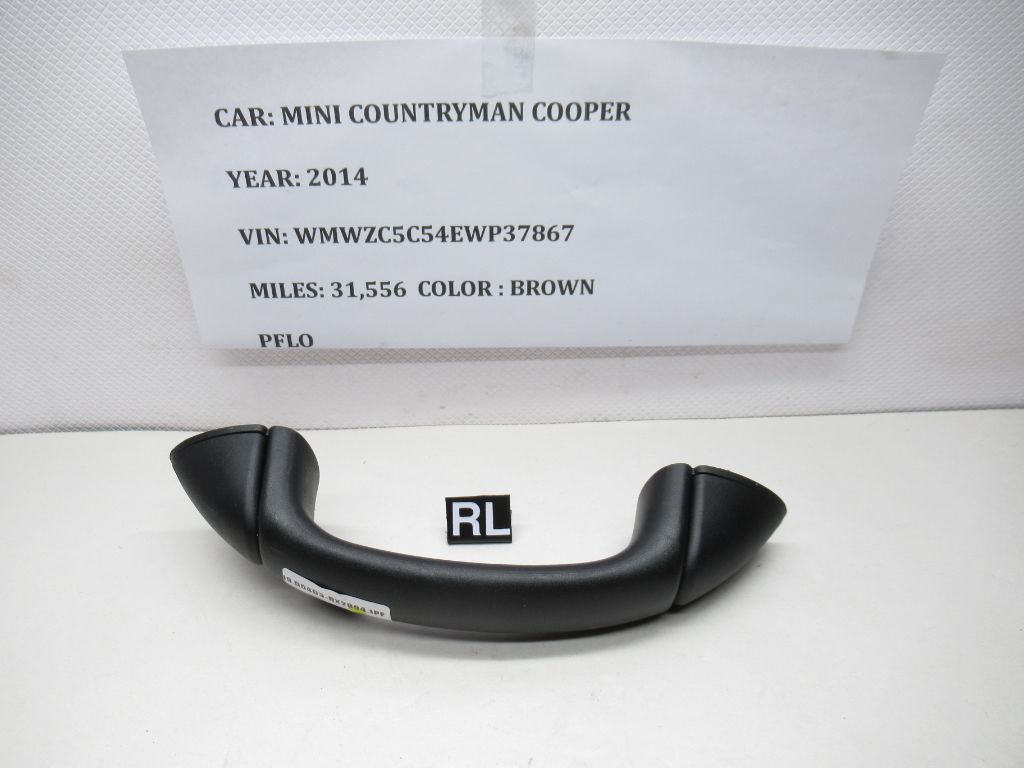 2011-2016 Mini Cooper Countryman Grab Handle Left Rear 51162754167 OEM