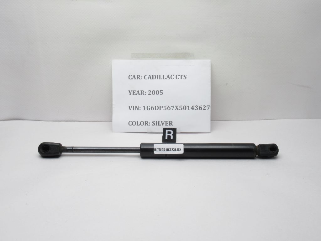 2003 - 2007 Cadillac CTS Right Trunk Support Shock Strut 15911948 OEM