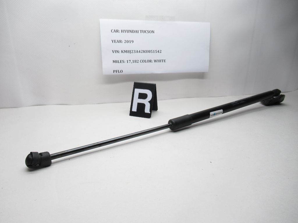 16-21 Hyundai Tucson Liftgate Right Side Lift Cylinder Strut R 81771-D3002 OEM