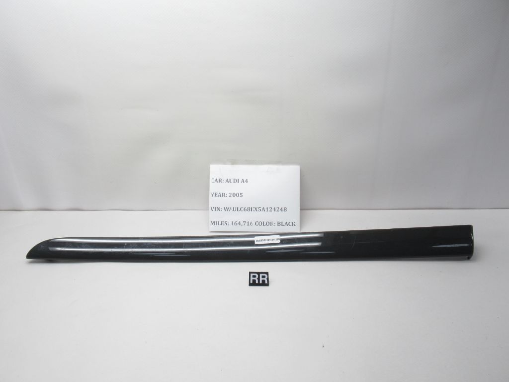 2002-2005 Audi A4  Right Rear  Door Panel 8E0867420G OEM