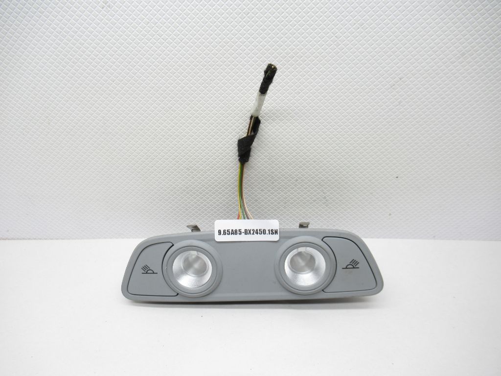 17-23 Audi A4 Interior Rear Roof Light Lamp Panel Unit 197586-00 OEM