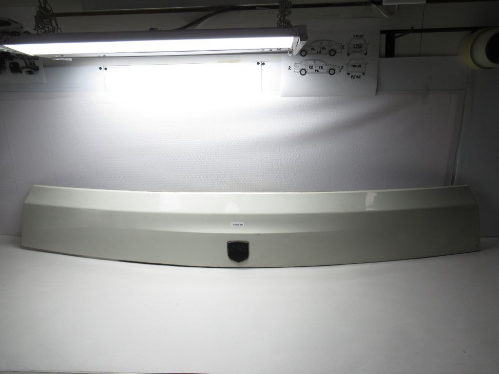 14-15 Dodge Grand Caravan Rear Tailgate Handle Trim Molding 30666855010 OEM